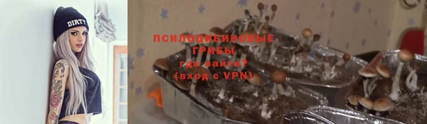 герыч Алзамай