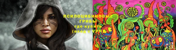 бошки Алексин